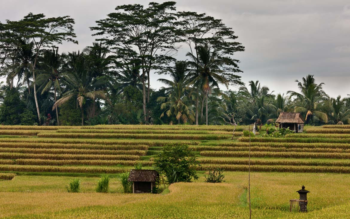 Bali