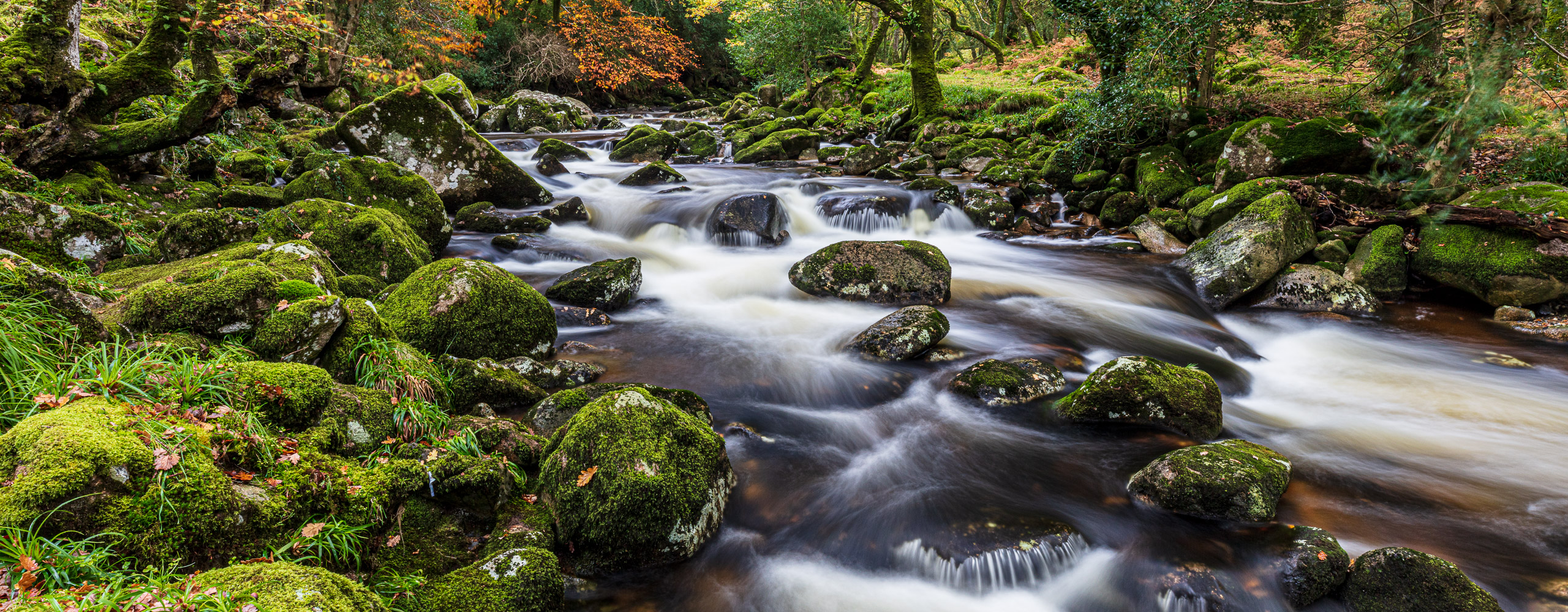 River Plym, Dartmoor, England