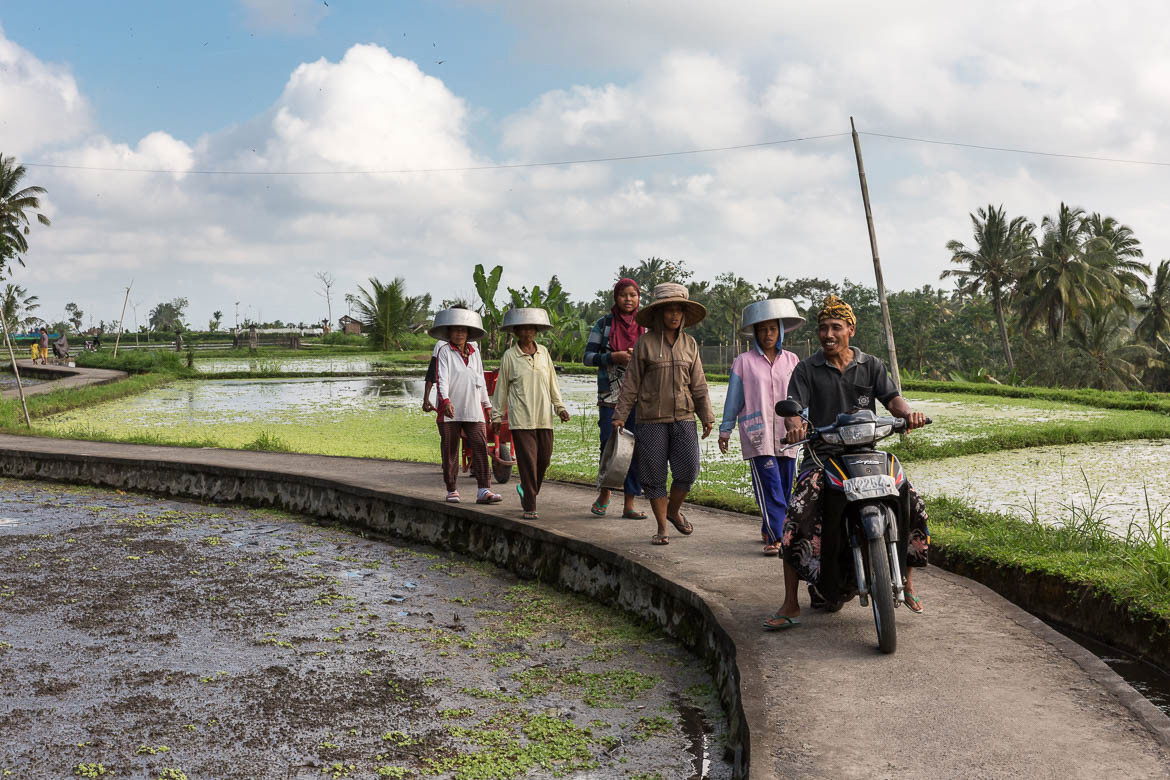 Bali