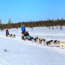Lapland 2014