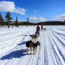 Lapland 2014