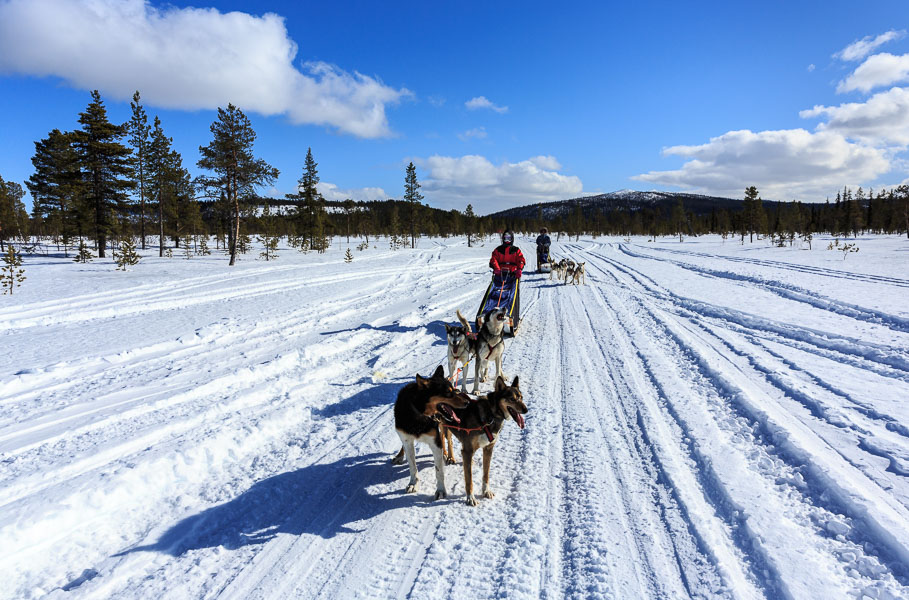 Lapland 2014