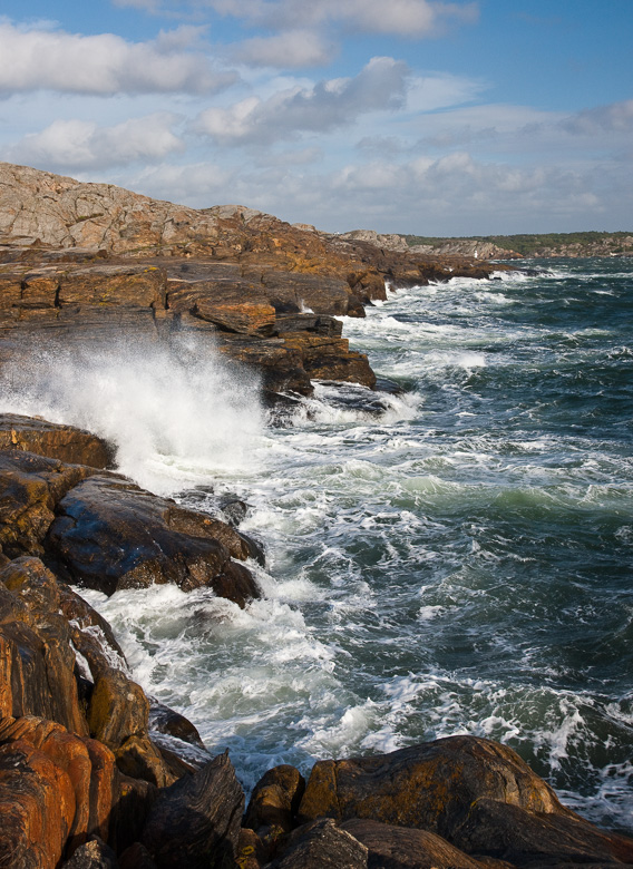 Swedish West Coast