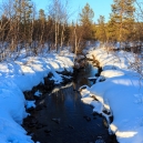 Lapland 2014