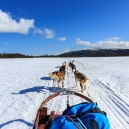 Lapland 2014