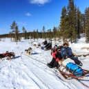 Lapland 2014