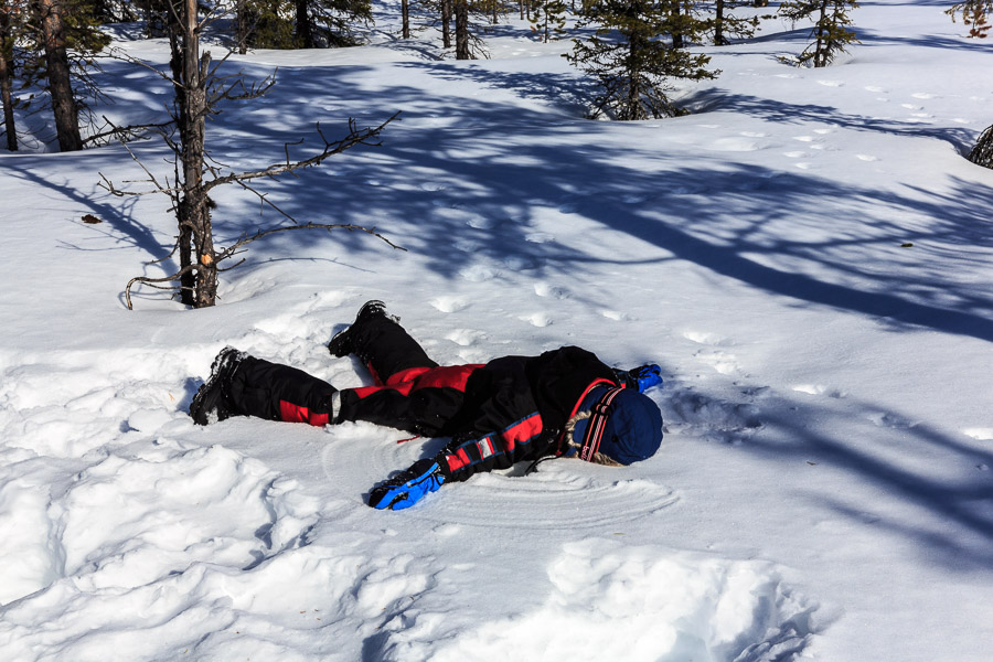 Lapland 2014
