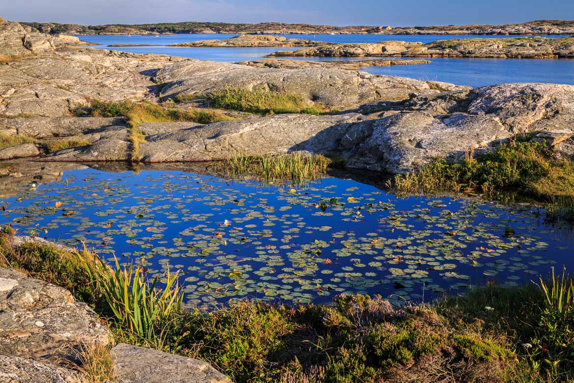 Swedish West Coast