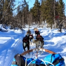 Lapland 2014
