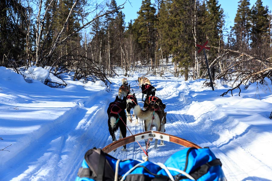 Lapland 2014
