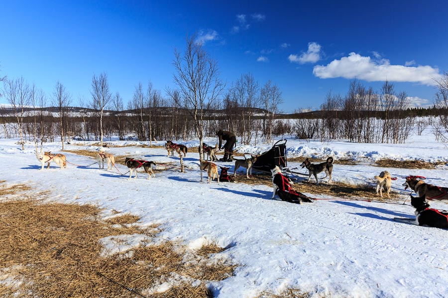 Lapland 2014
