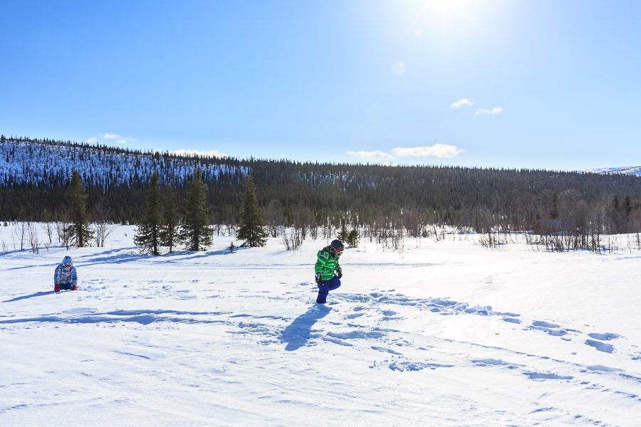 Lapland 2014