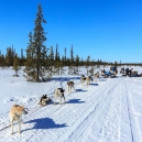 Lapland 2014
