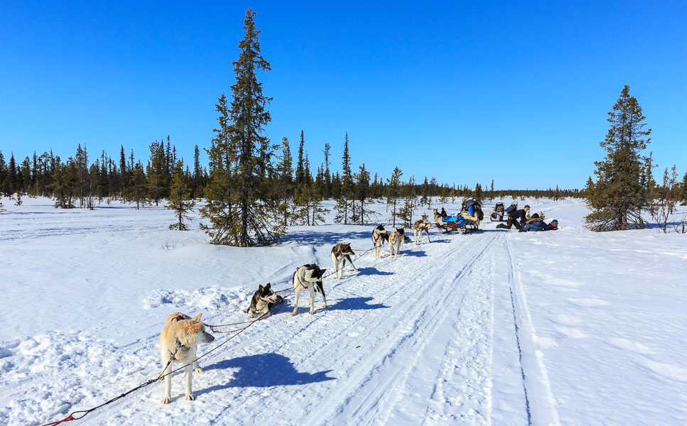 Lapland 2014