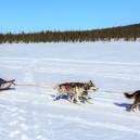 Lapland 2014