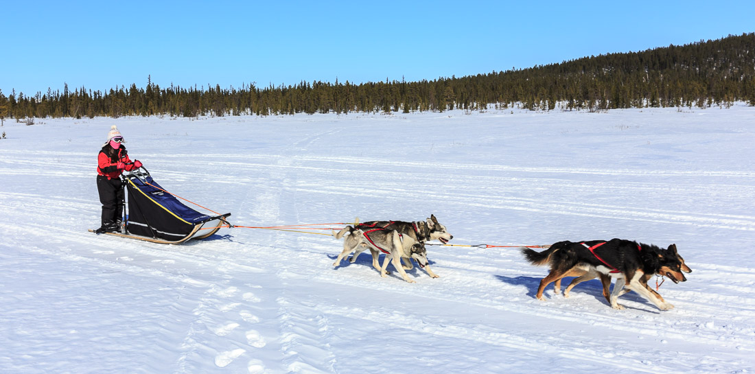 Lapland 2014