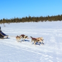 Lapland 2014