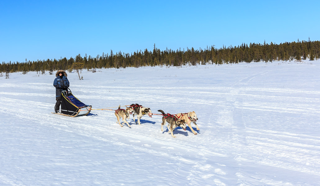 Lapland 2014