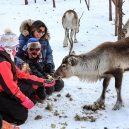 Lapland 2014