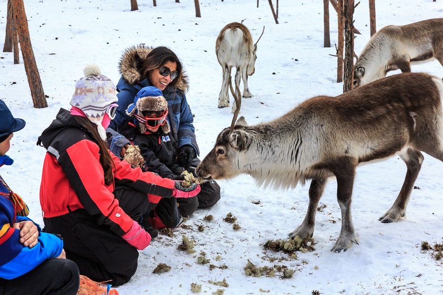 Lapland 2014