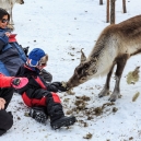 Lapland 2014