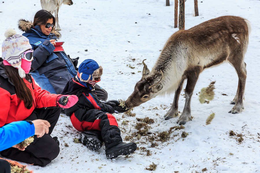 Lapland 2014