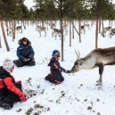 Lapland 2014