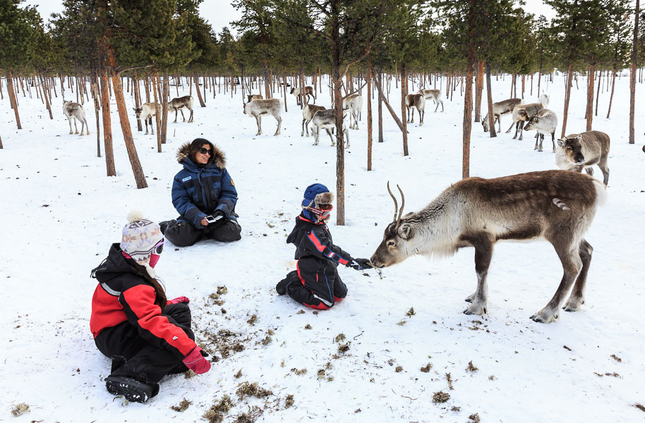 Lapland 2014