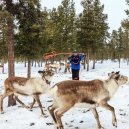 Lapland 2014