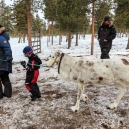 Lapland 2014