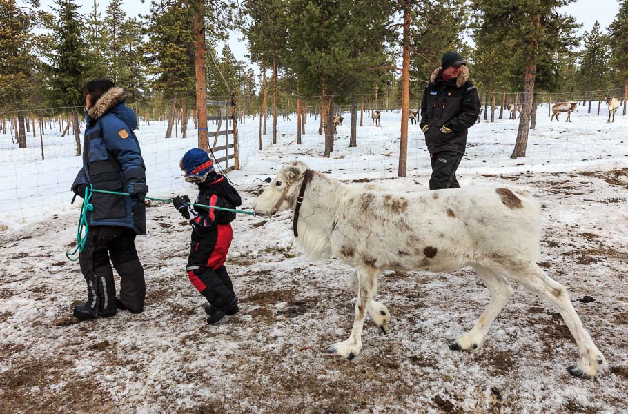Lapland 2014