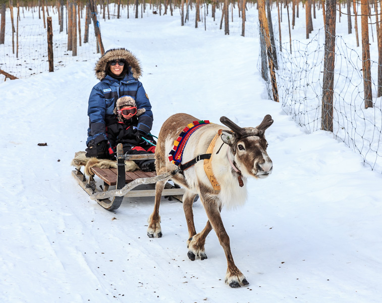 Lapland 2014