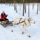 Lapland 2014