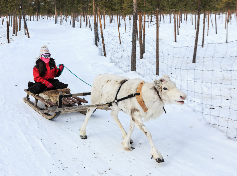 Lapland 2014