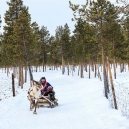 Lapland 2014