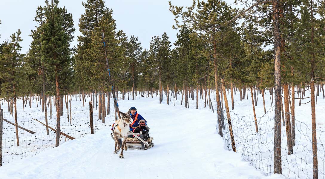 Lapland 2014