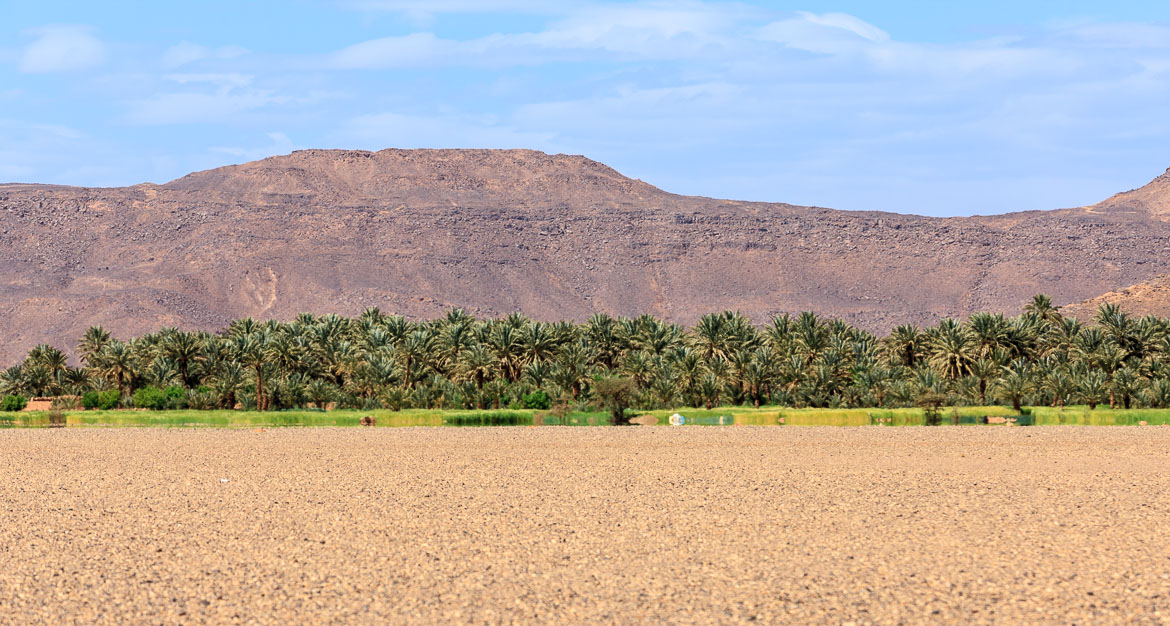 Desert Hamadas and Steppes