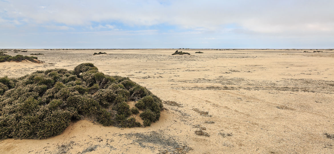 Desert formation