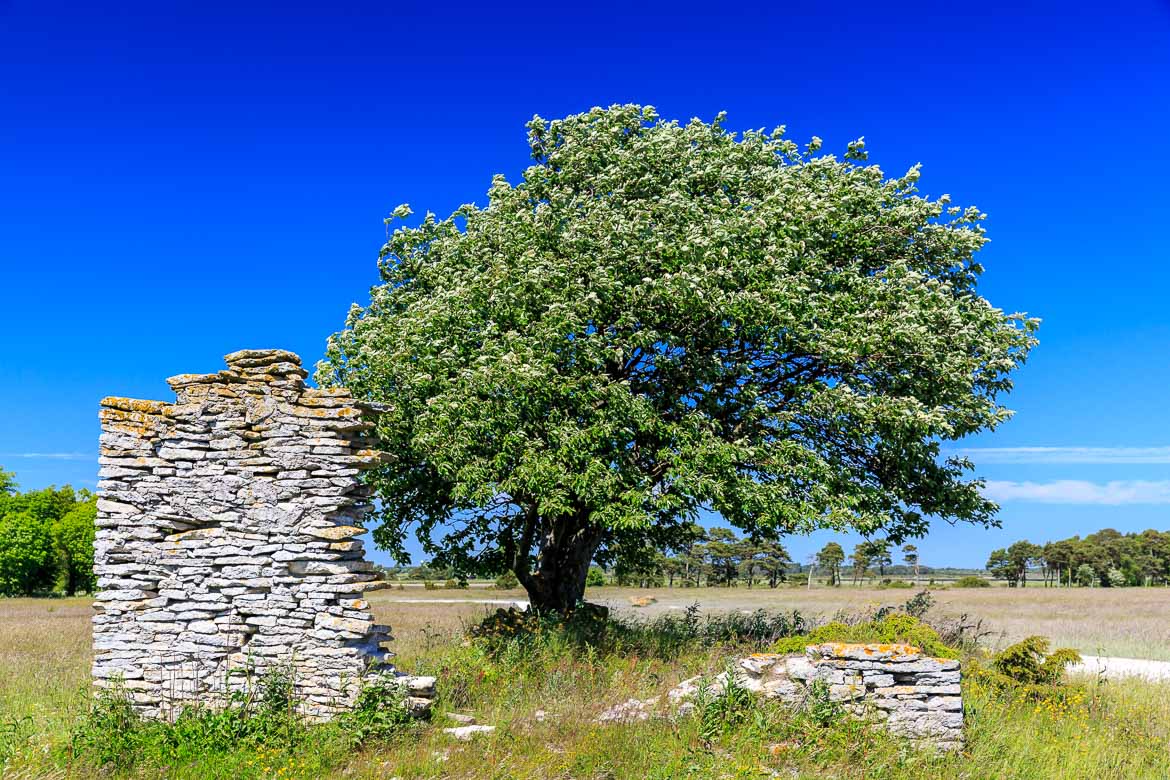 Visby and Gotland