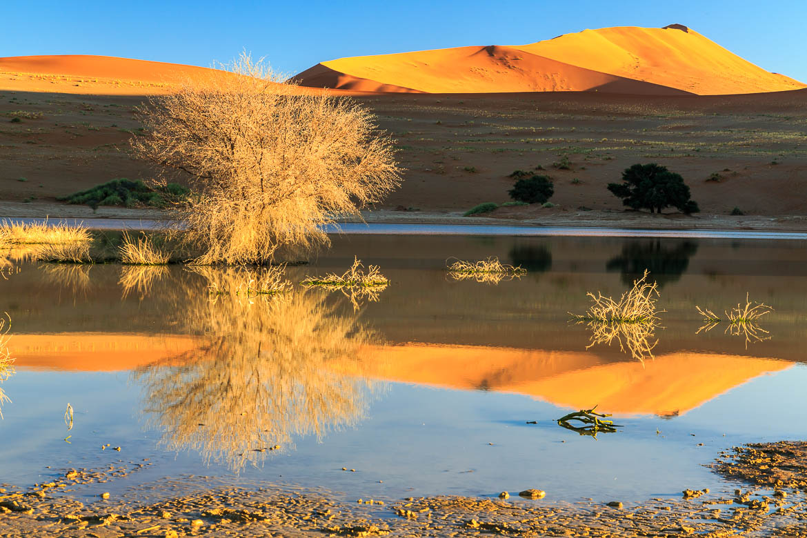 Desert Sand Dunes