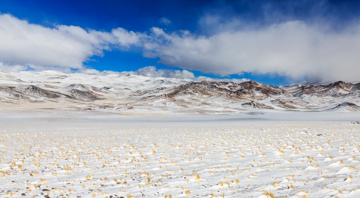 Desert Hamadas and Steppes