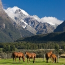 New Zealand