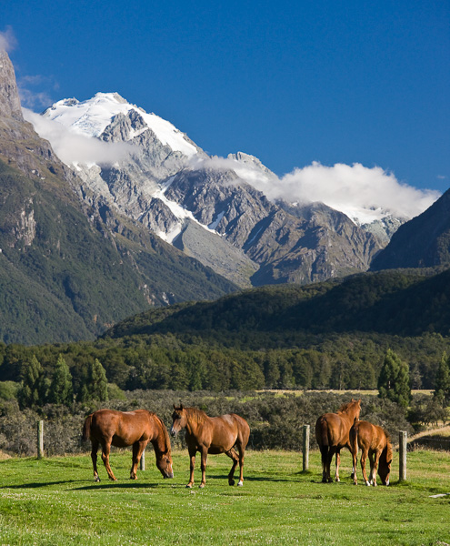 New Zealand