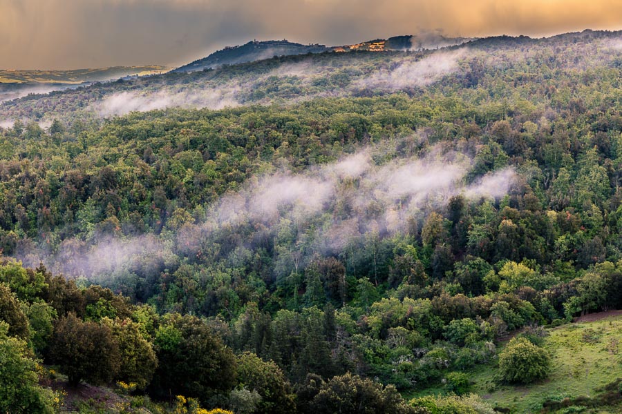 Tuscany 2016