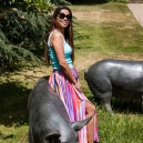 Knightstone Summer Party
