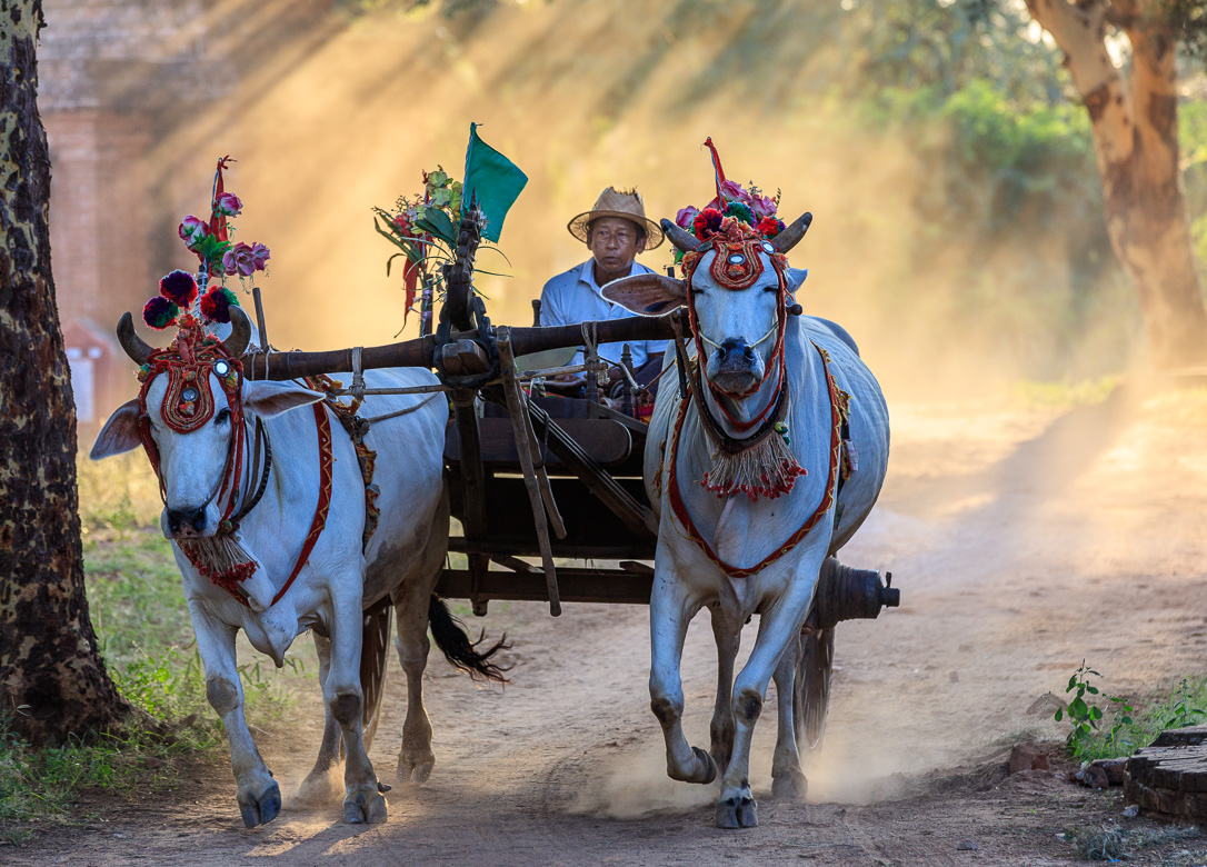 Myanmar