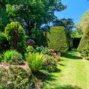 We continue our walk and turn right around the yew hedges into the rose garden