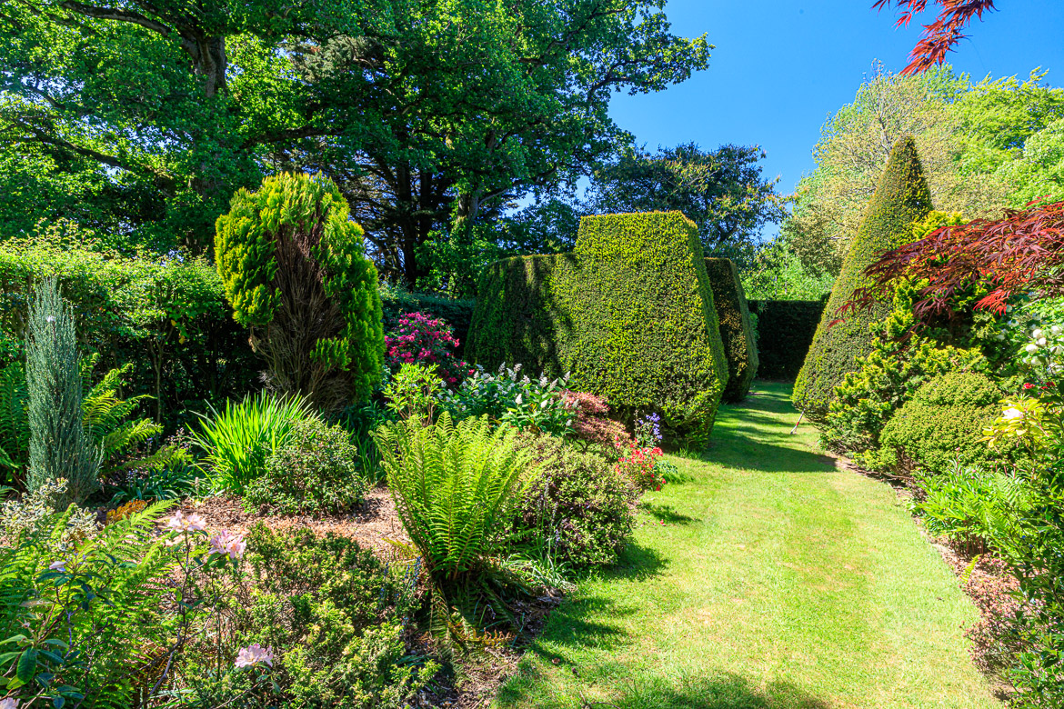 We continue our walk and turn right around the yew hedges into the rose garden