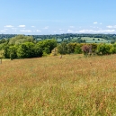 Eric is walking back nearly disappearing in the meadow