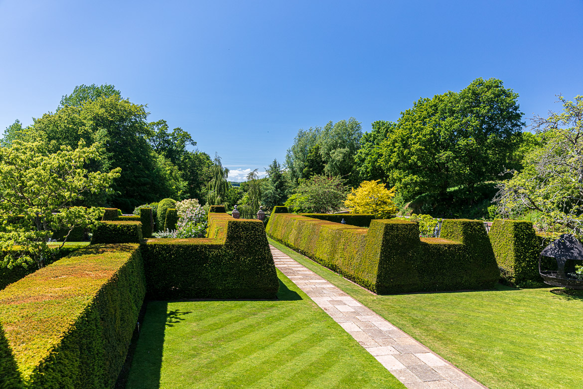 Walking up the entrance between the yew hedges protecting the formal gardens.